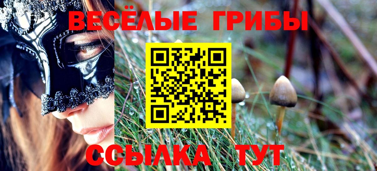 Галлюциногенные грибы мухоморы Бердск