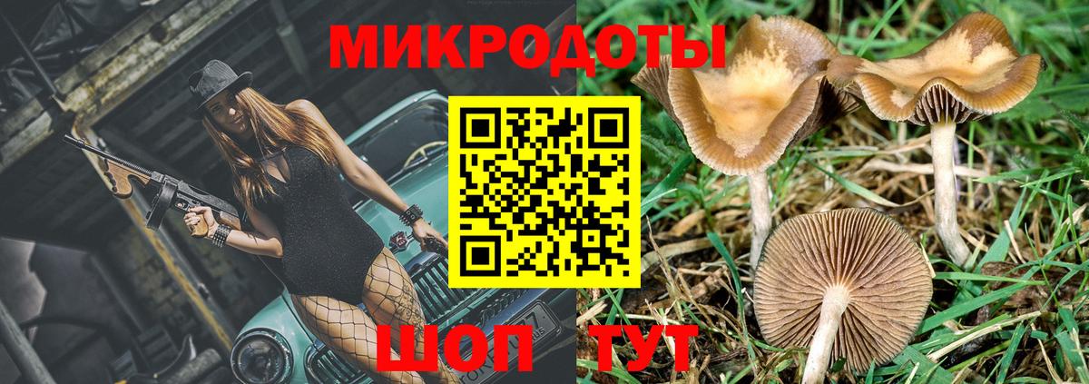 Галлюциногенные грибы Cubensis  Вход с VPN  Бердск 