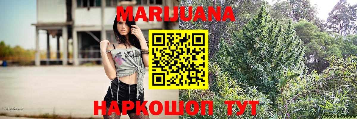 Бошки марихуана план Бердск